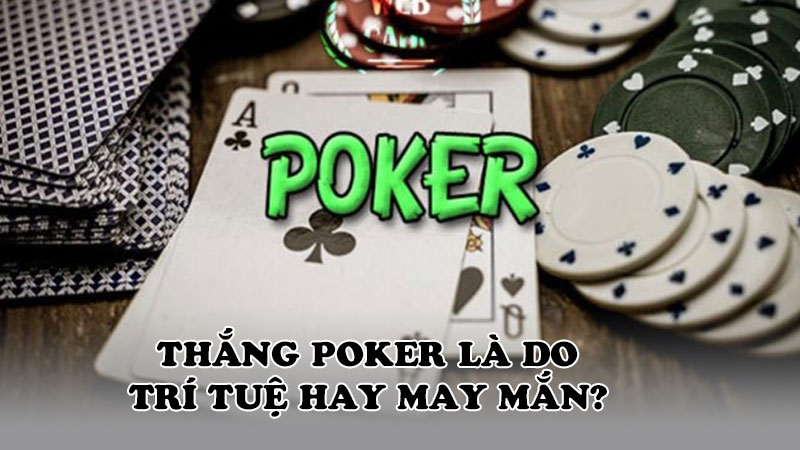 Thắng poker là do trí tuệ hay may mắn?